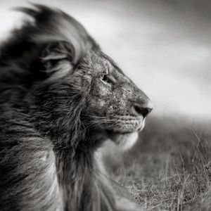 Meet your Posher, Marc