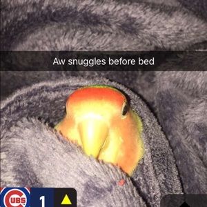 Meet your Posher, Christine