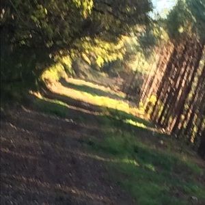 Meet your Posher, Christi