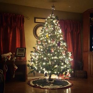 Meet your Posher, Brandy