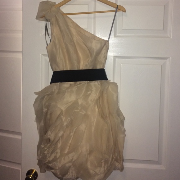 Vera wang dress in champagne