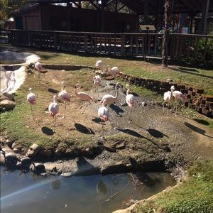 Meet your Posher, Timothy