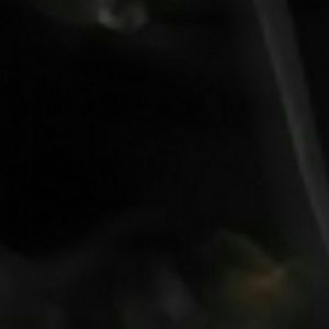 Meet your Posher, Arthur