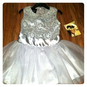 👗 Biscotti Silver Holiday Dress👗