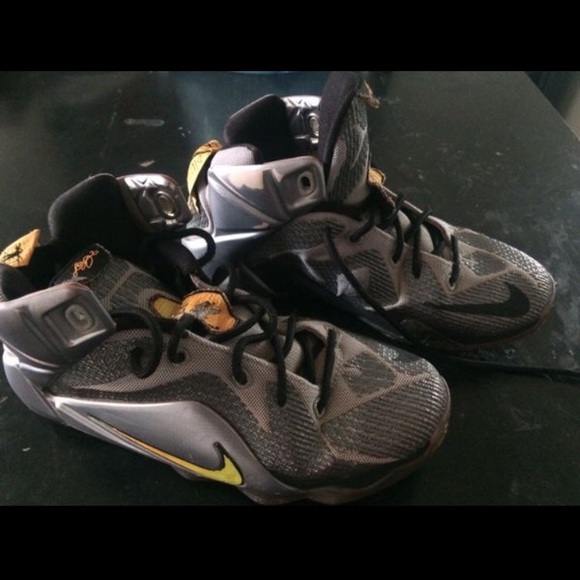 Lebron high tops