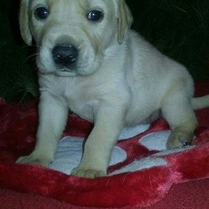 Meet your Posher, Angie