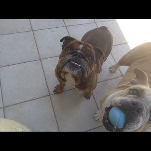 Meet your Posher, Blake