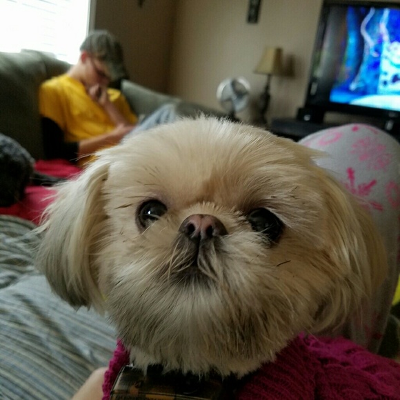 Meet your Posher, Kelly - Picture 1 of 1