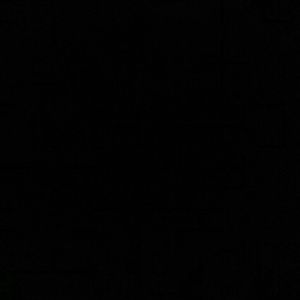 Meet your Posher, Ben