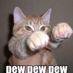 Meet your Posher, Belladonna