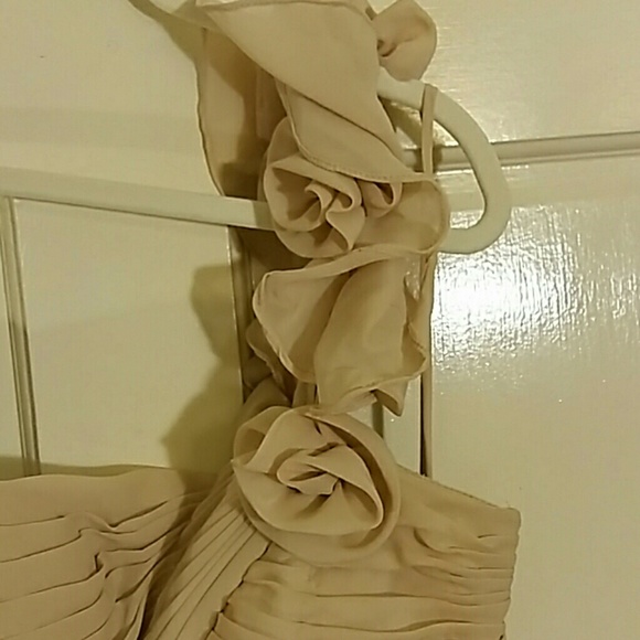 Beautiful One- Shoulder Organza Ball Gown Size 8 - Picture 3 of 4