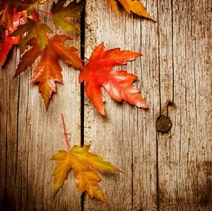 Meet your Posher, Sandy