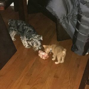 Meet your Posher, Kaye