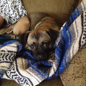 Meet your Posher, Jill