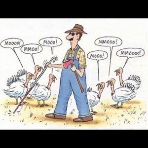 Meet your Posher, Juan pablo