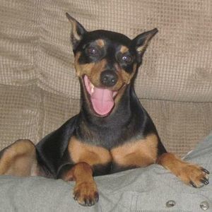 Meet your Posher, Danielle