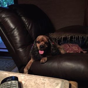 Meet your Posher, Marla