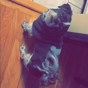 Meet your Posher, Emma