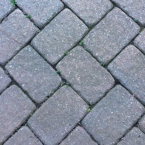 Meet your Posher, Alison