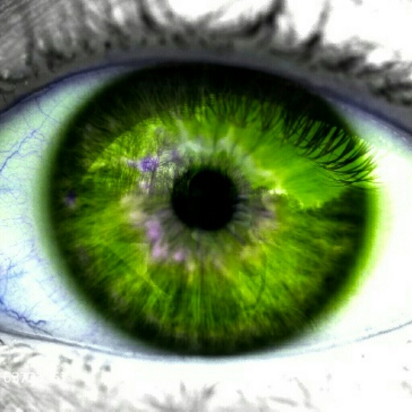 Meet your Posher, Shauna - Picture 2 of 4