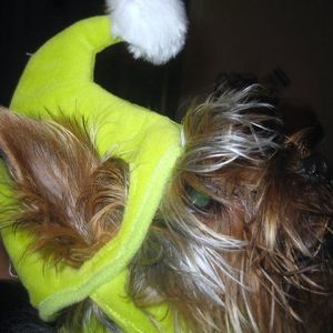 Meet your Posher, Ruth