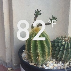 Meet your Posher, Max