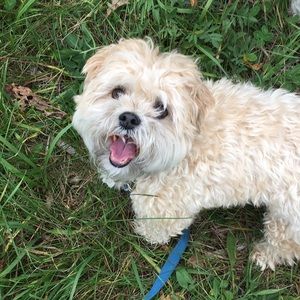 Meet your Posher, Kelci