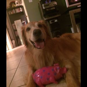 Meet your Posher, Robin