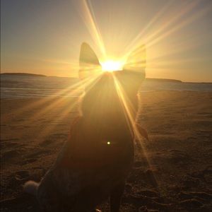 Meet your Posher, Britt