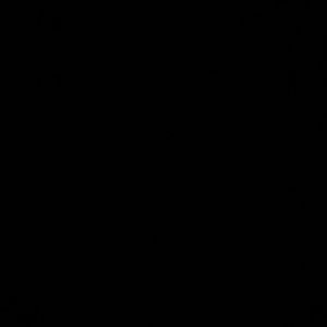 Meet your Posher, Skyla