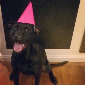 Meet your Posher, Alexa