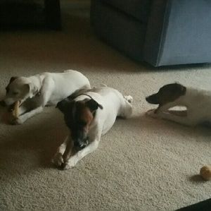 Meet your Posher, Christy