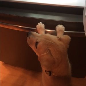 Meet your Posher, Jill