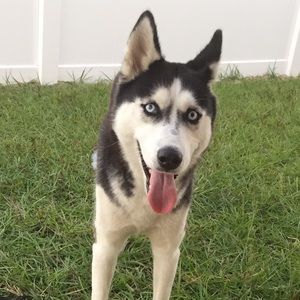 Meet your Posher, Marilyn