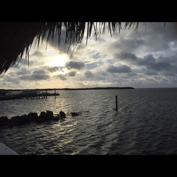 Meet your Posher, Jacqueline - Picture 1 of 1