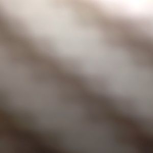 Meet your Posher, Joannabel