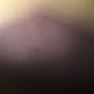 Meet your Posher, Jellie