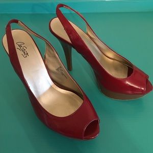 Sexy 5 1/2" Red Platform Heels