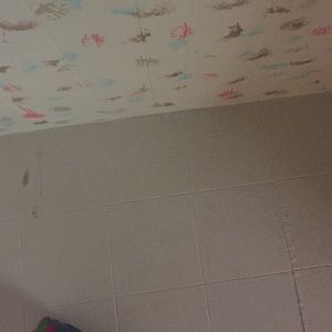 Meet your Posher, Macie