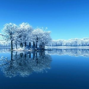 Meet your Posher, Robin