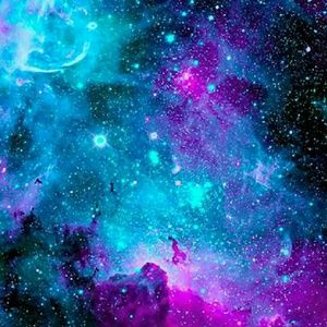 Meet your Posher, Randy