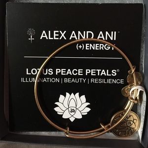 ALEX AND ANI
