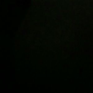 Meet your Posher, Leonard