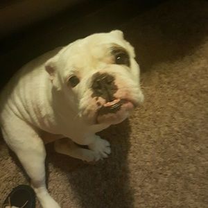 Meet your Posher, Kim