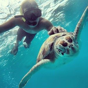 Meet your Posher, Miles