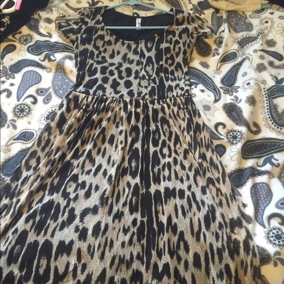 Leopard lace high low dress