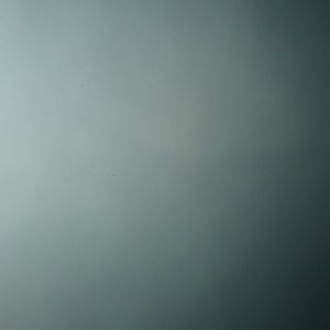 Meet your Posher, Kira