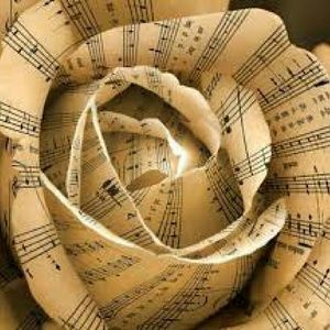 Meet your Posher, Hidei