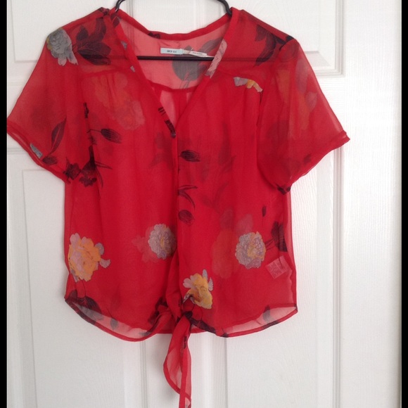 Urban Outfitters -Red Sheer Floral Tie Up Blouse