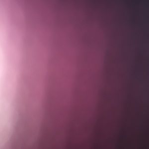 Meet your Posher, Selena